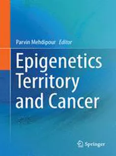 9789401796385 Epigenetics Territory and Cancer