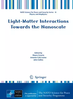 LightMatter Interactions Towards the Nanoscale