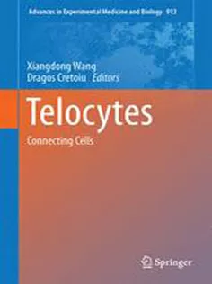 9789811010606 Telocytes: Connecting Cells