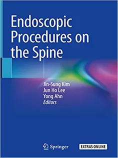 Endoscopic Procedures on the Spine
