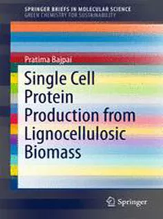 Single Cell Protein Production from Lignocellulosic Biomass