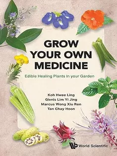 Grow Your Own Medicine: Edible Healing Plants In Your Garden