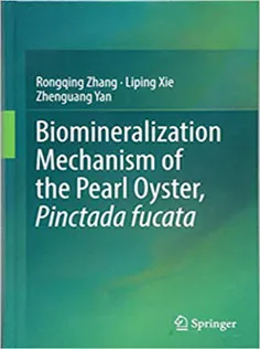 Biomineralization Mechanism of the Pearl Oyster, Pinctada Fucata