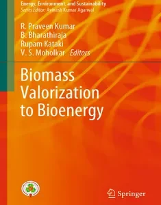 Biomass Valorization to Bioenergy