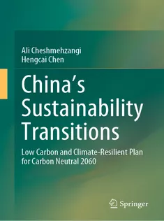 China's Sustainability Transitions