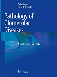 9789811914294 Pathology of Glomerular Diseases: Atlas of Clinical Case Studies