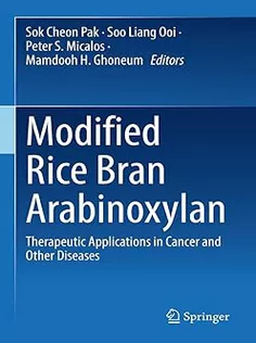 Modified Rice Bran Arabinoxylan: Therapeutic Applications in Cancer and Other Diseases