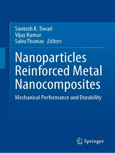 Nanoparticles Reinforced Metal Nanocomposites