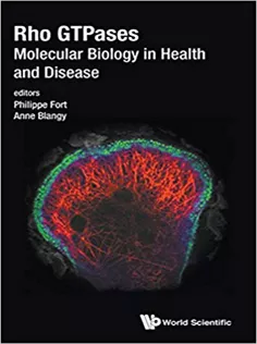 Rho GTPases: Molecular Biology in Health and Disease