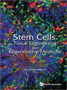 Stem Cells, Tissue Engineering and Regenerative Medicine