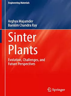 Sinter Plants Evolution, Challenges, and Future Perspectives