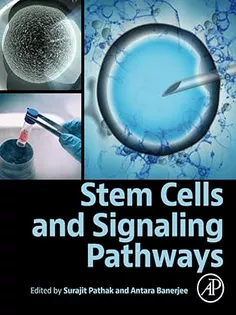 Stem Cells and Signaling Pathways
