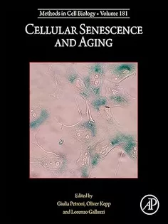 Cellular Senescence and Aging (Volume 181) (Methods in Cell Biology, Volume 181)