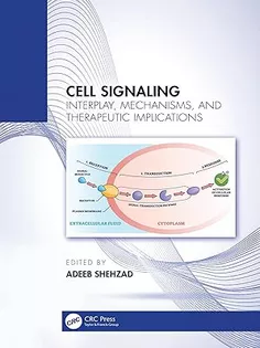 Cell Signaling: Interplay, Mechanisms, and Therapeutic Implications