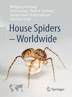 House Spiders - Worldwide