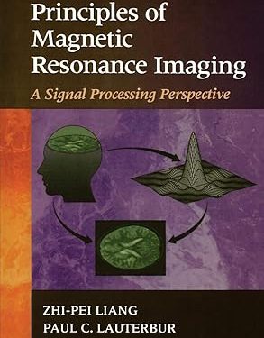 Principles of Magnetic Resonance Imaging: A Signal Processing Perspective