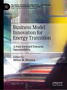 9783031347924-13 Business Model Innovation for Energy Transition
