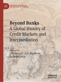 9783031758188-12 Beyond Banks
