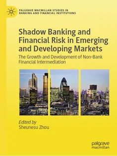 9783031862236-9 Shadow Banking and Financial Risk in Emerging and Developing Markets