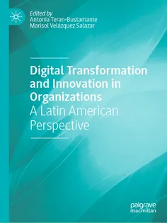 9783031907937-14 Digital Transformation and Innovation in Organizations