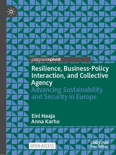 9783032025173 Resilience, Business-Policy Interaction, and Collective Agency