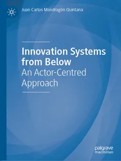 9783032055545-12 Innovation Systems from Below