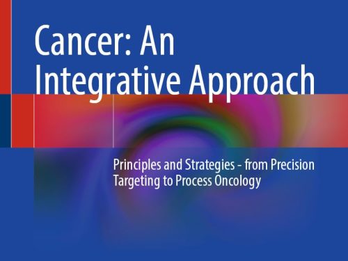 9783032088086 Cancer: An Integrative Approach: Principles and Strategies - from Precision Targeting to Process Oncology