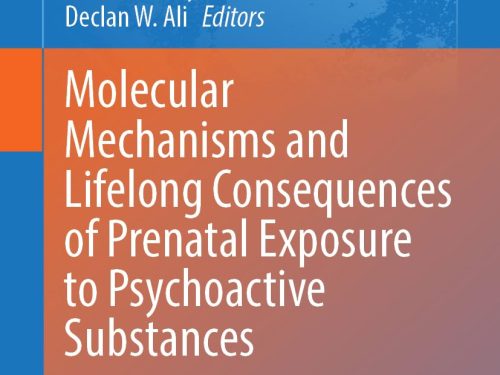 9783032127402 Molecular Mechanisms and Lifelong Consequences of Prenatal Exposure to Psychoactive Substances