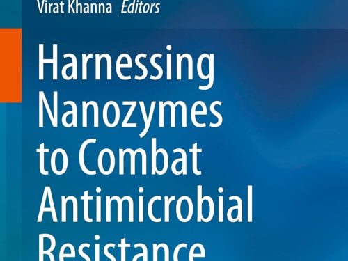 9783032165398 Harnessing Nanozymes to Combat Antimicrobial Resistance