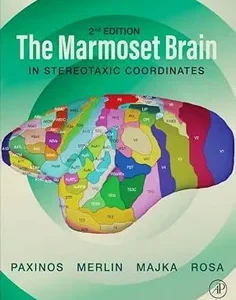 The Marmoset Brain in Stereotaxic Coordinates