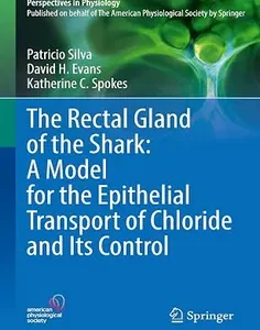 The Rectal Gland of the Shark: A Model for the Epithelial Transport of Chloride and Its Control (Perspectives in Physiology)