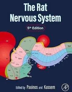 The Rat Nervous System