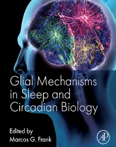 Glial Mechanisms in Sleep and Circadian Biology