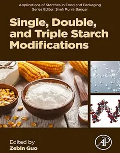 Single, Double, and Triple Starch Modifications (Applications of Starches in Food and Packaging)