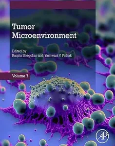 Tumor Microenvironment