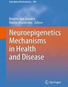 Neuroepigenetics Mechanisms in Health and Disease