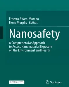 Nanosafety: A Comprehensive Approach to Assess Nanomaterial Exposure on the Environment and Health